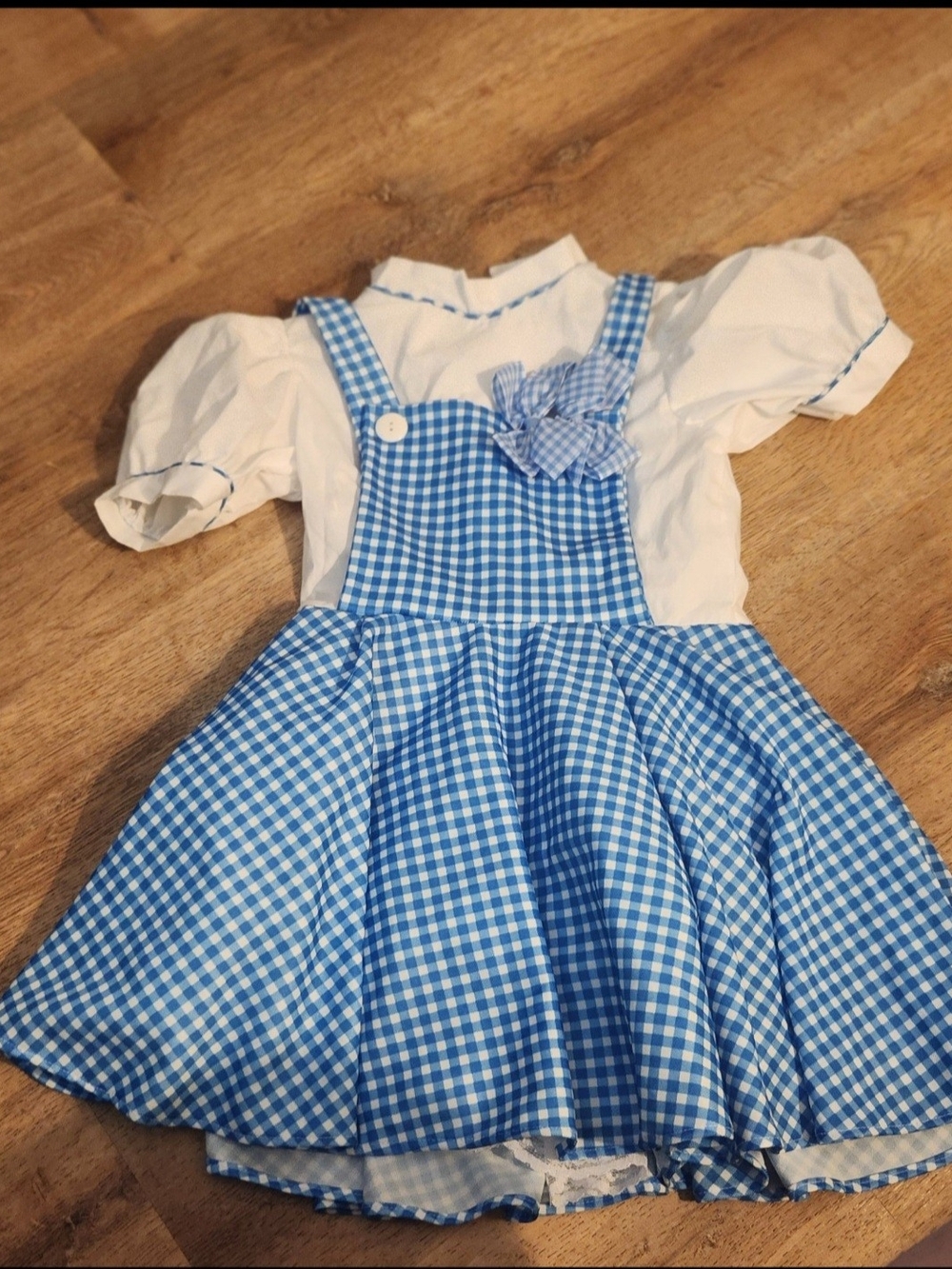 Dorothy From Wizard of Oz Kids Costume.